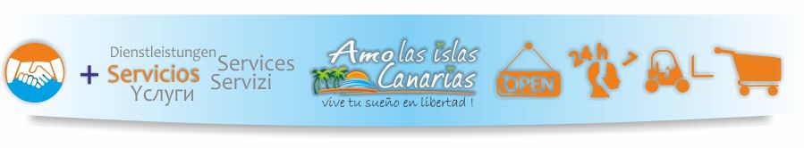servicios para turistas en tenerife sur y el norte islas canarias españa