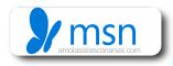 links utiles MSN tenerife islas canarias BUSCADOR EMANIL portal informacion turistica