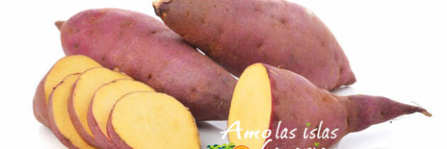 fotografias de alimentos de canarias batata dulce