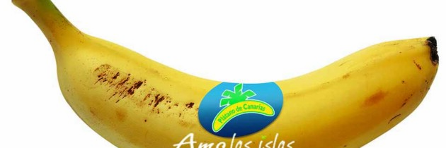 fotos del platano de canarias fruta tipica de las islas