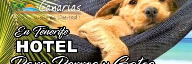 Hotel para perros en Tenerife Islas Canarias aceptan perros animales en Tenerife sur MASCOTS