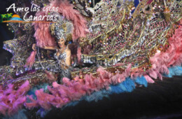 imagenes de los carnavales de santa cruz de tenerife trajes de candidatas a reina carrozas islas canarias españa