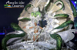 imagenes de los mejores trajes del carnaval de santa cruz de tenerife islas canarias