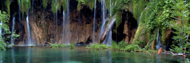 imagenes paisajes de la gomera cascadas zonas naturales parques protegidos bosques laurisilva en las islas canarias españa fotos